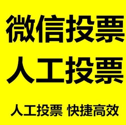 泰安市投票活动拉票能被查出来吗？如何操作能不被发现？